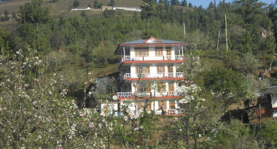 North Moon Home Stay, Shimla 1